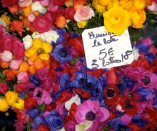 Blomstermarkedet, Antibes